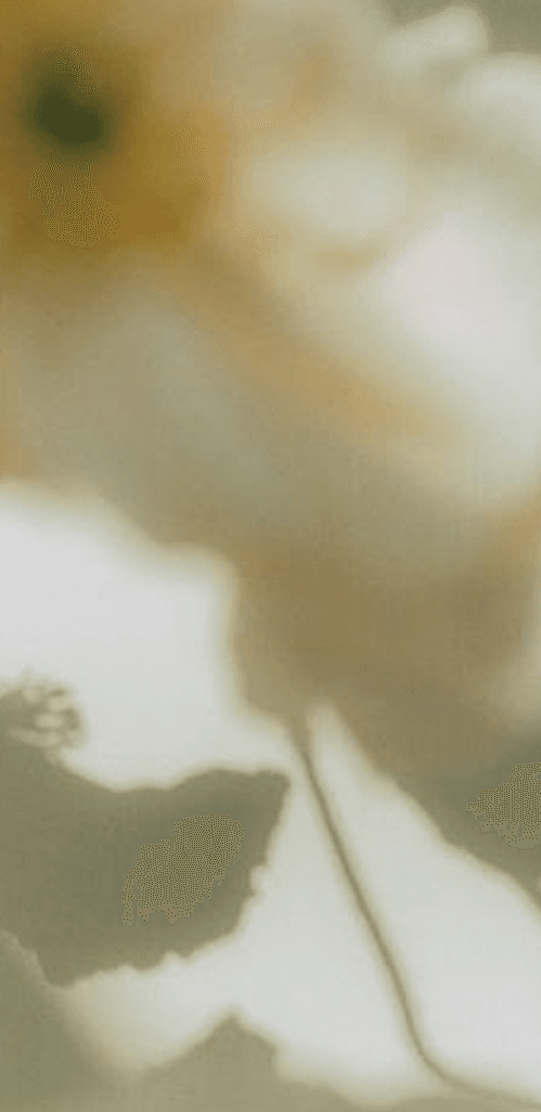 Bối cảnh thương hiệu